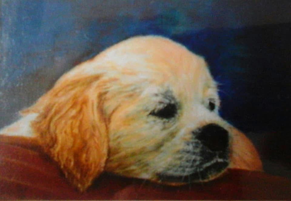 Puppy